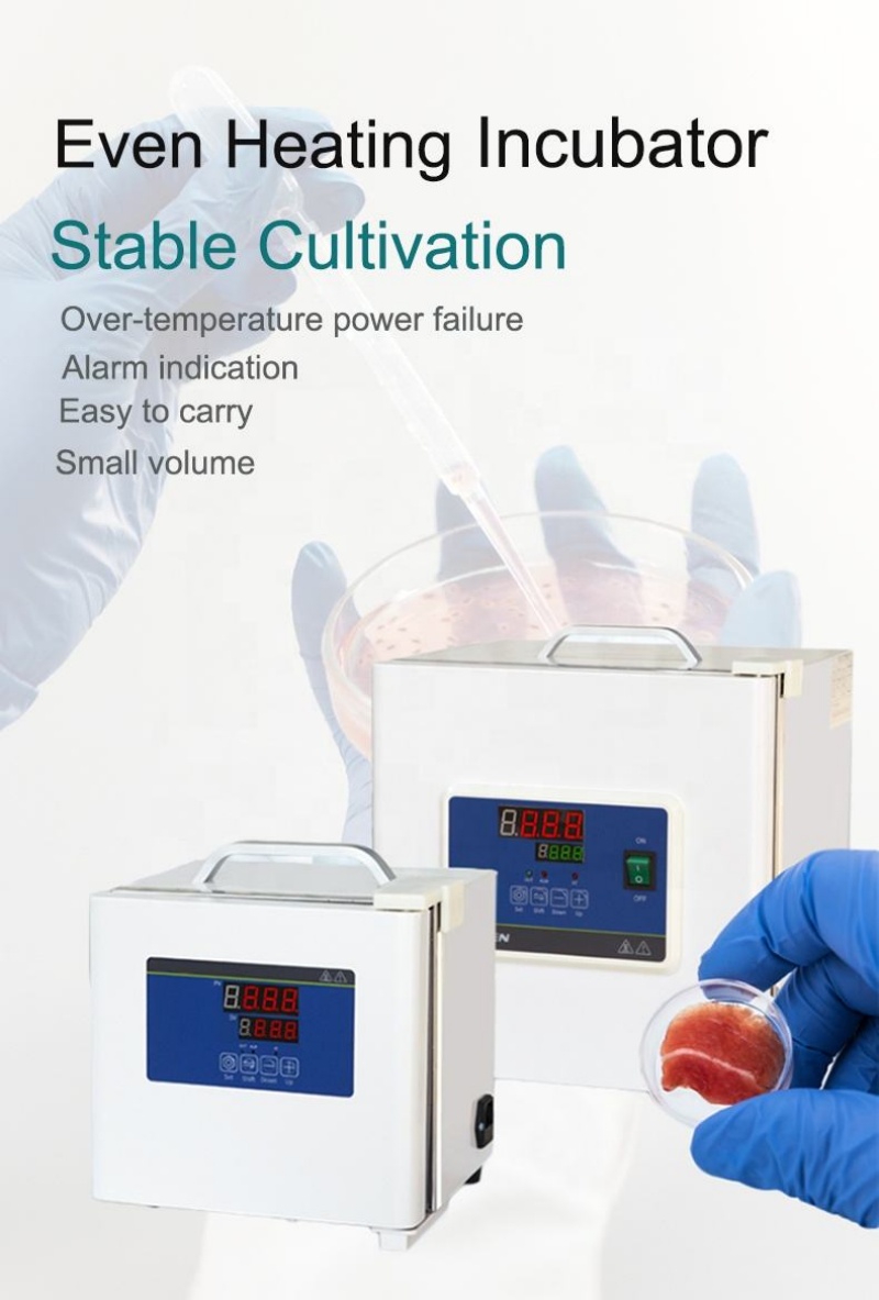 Inkubatory laboratoryjne WEIAI – Medical Lab Microbiology recenzja i cena